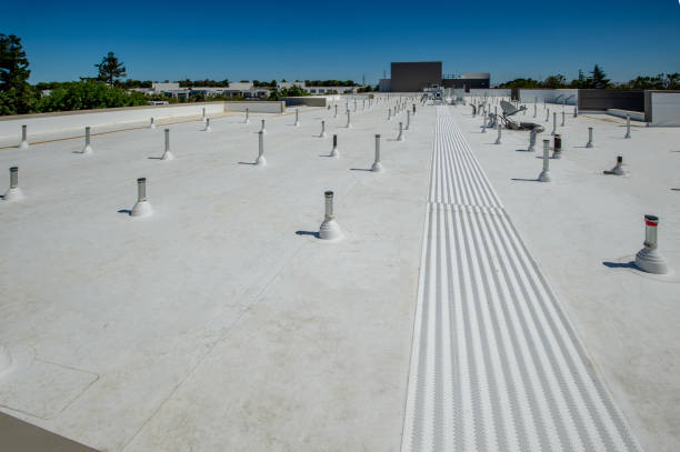 Best Steel Roofing  in Nsfield Center, MA